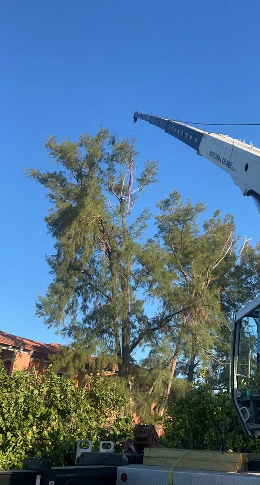 Affordable residential landscaping experts serving Lakeland, FL - Stapleton's Tree Service