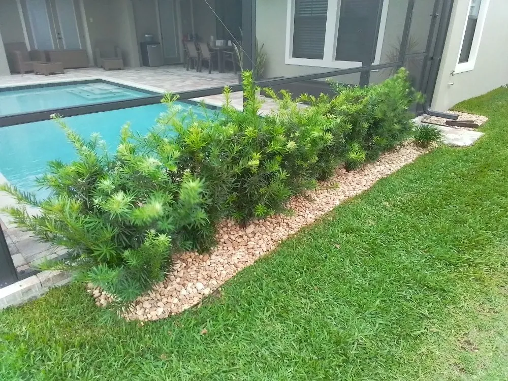 Affordable landscape design for year-round maintenance in Hudson, FL by Star & Golden- Landscape and Design Services