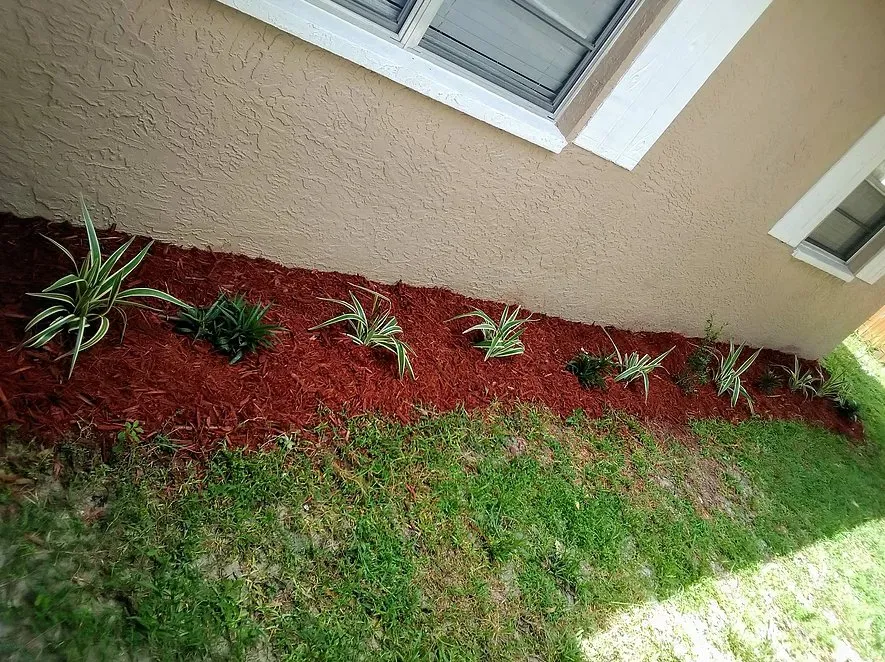 Top-rated lawn mowing service near you in Hudson, FL by Star & Golden- Landscape and Design Services