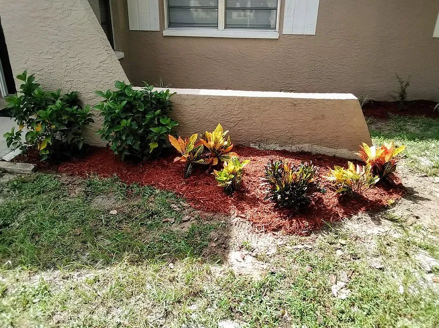 Local lawn care service in Hudson, FL - Star & Golden- Landscape and Design Services