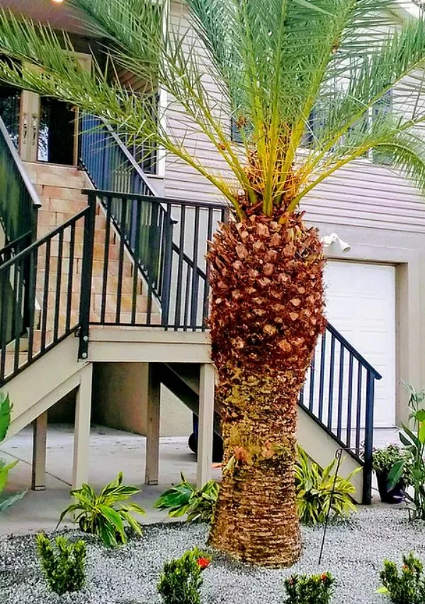 Expert landscape design for outdoor upgrades in Hudson, FL by Star & Golden- Landscape and Design Services