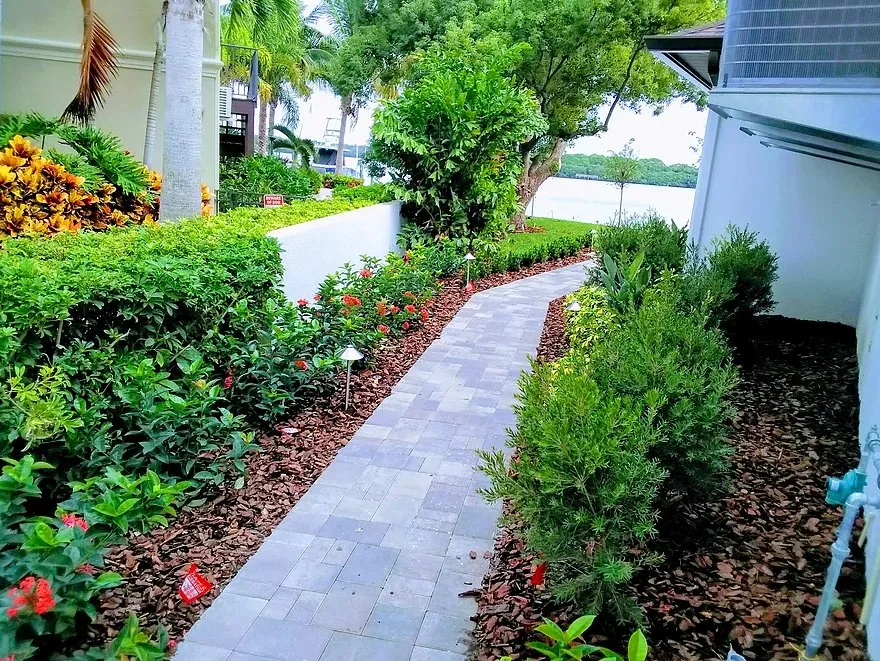 Affordable lawn care service for year-round maintenance across Hudson, FL - Star & Golden- Landscape and Design Services