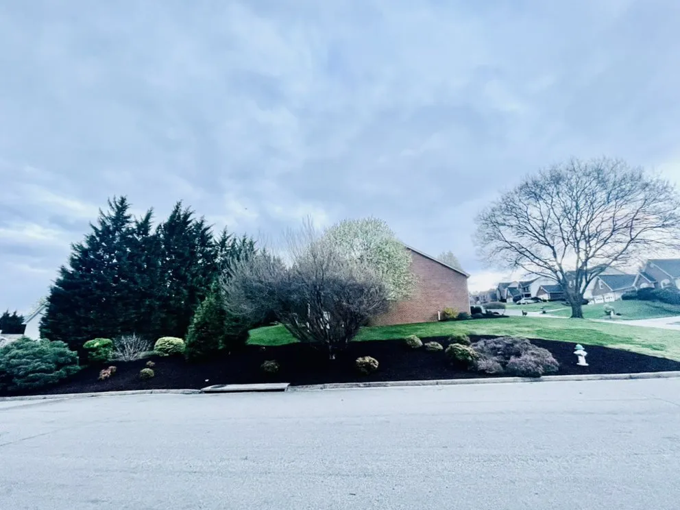 Trusted landscaping services for year-round maintenance in Vinton, VA by Star City Land Innovations