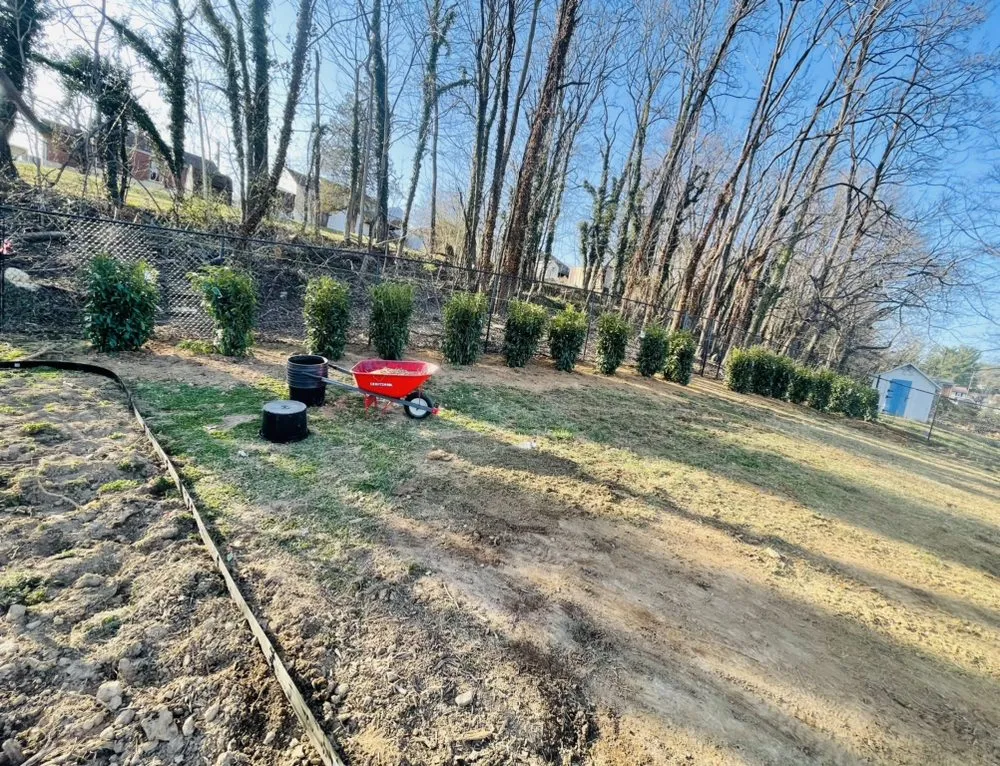 Professional lawn care service with custom design in Vinton, VA by Star City Land Innovations