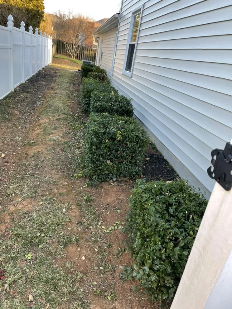 Professional lawn care service in Vinton, VA by Star City Land Innovations