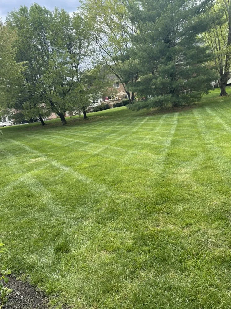 Affordable landscape installation in Vinton, VA by Star City Land Innovations