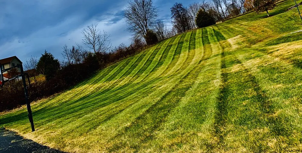 Expert yard cleanup service for beautiful yards in Vinton, VA by Star City Land Innovations