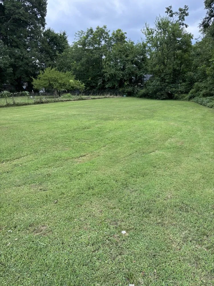 Top-rated yard maintenance experts serving Burlington, NC - Star Dust Yard Care