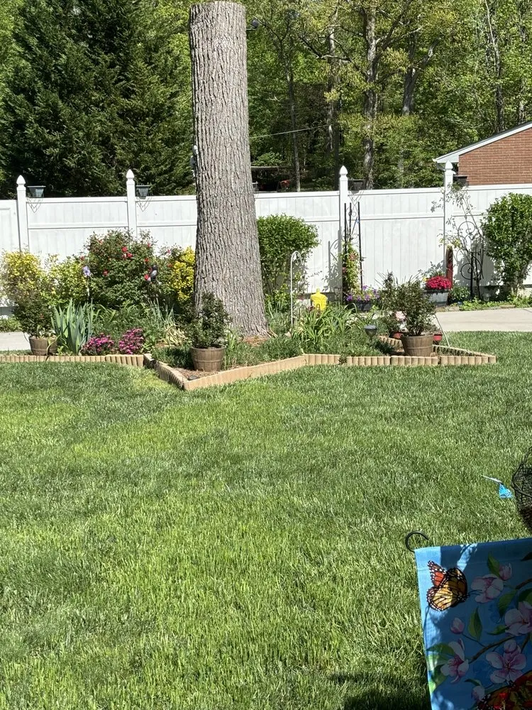 Affordable lawn mowing service experts serving Burlington, NC - Star Dust Yard Care