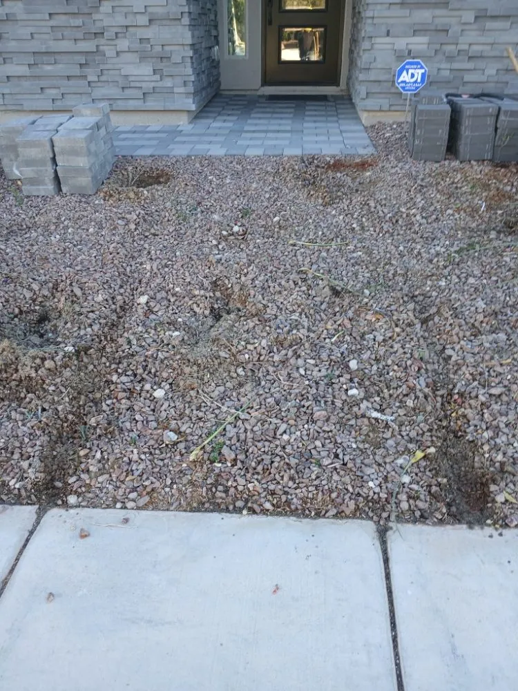 Local garden landscaping for year-round maintenance across Las Vegas, NV - Star Garden & Landscaping Services