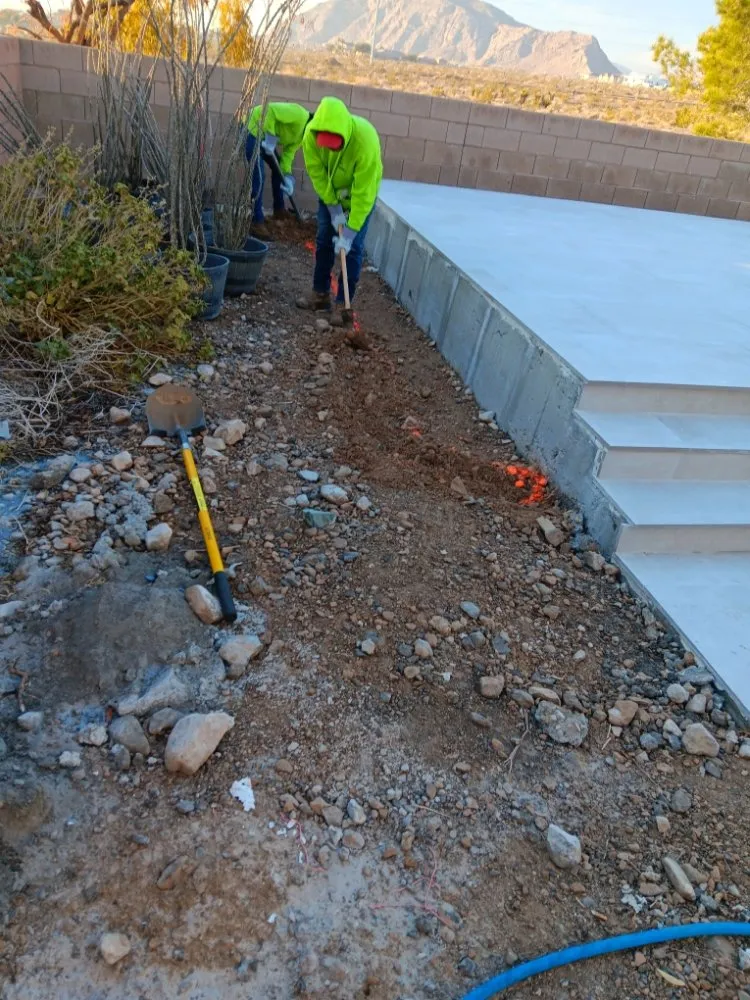 Professional yard cleanup service in Las Vegas, NV - Star Garden & Landscaping Services