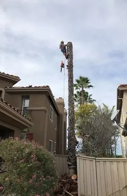 Star Green Landscaping & Tree Service Logo