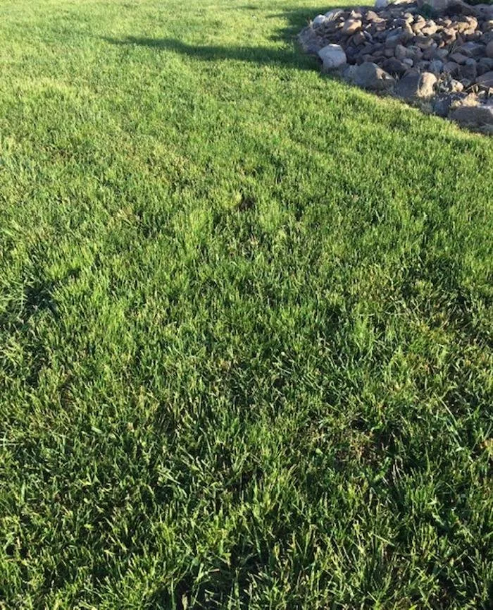 Local landscape installation for year-round maintenance across Auburn, WY - Star Hydroseeding