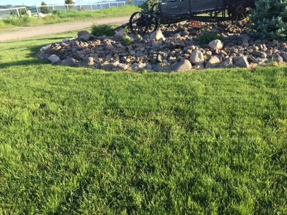 Local landscaping services for outdoor upgrades across Auburn, WY - Star Hydroseeding