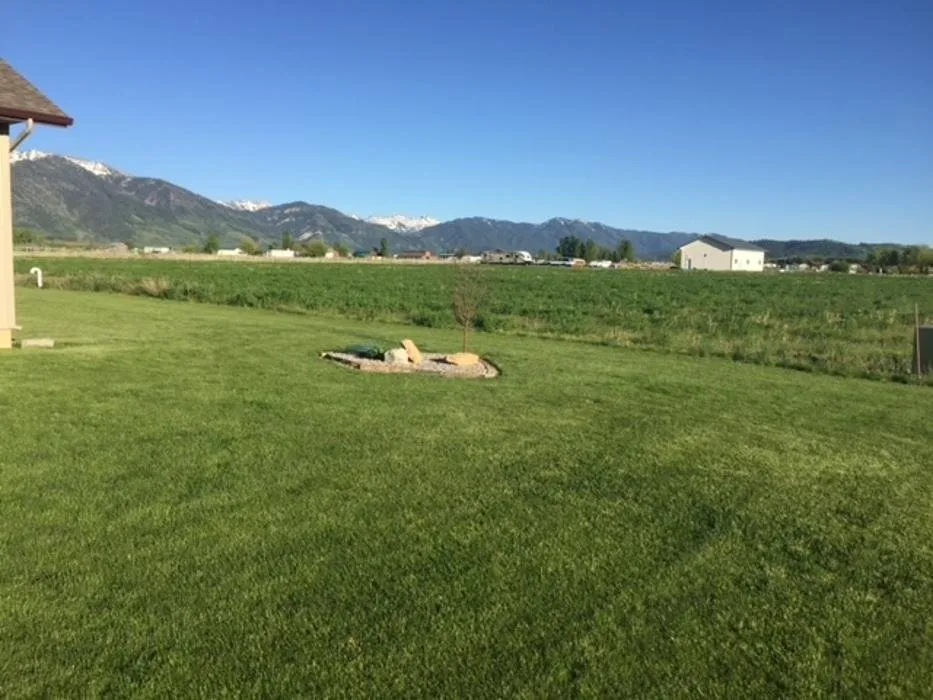 Custom yard cleanup service experts serving Auburn, WY - Star Hydroseeding