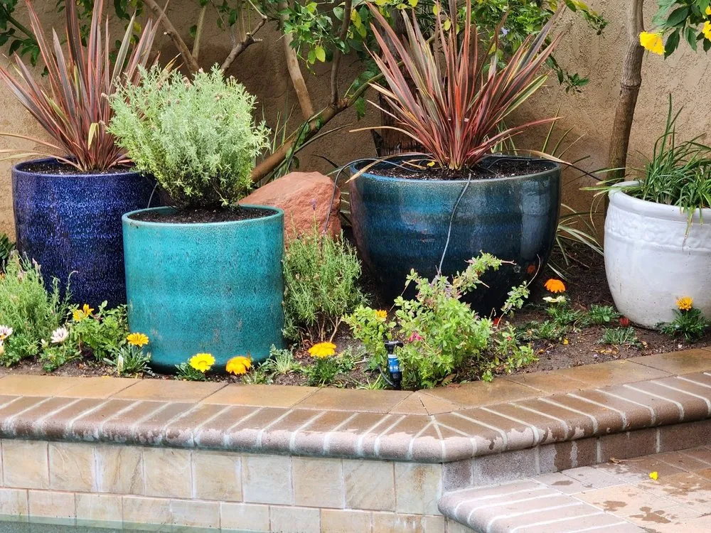 Top-rated lawn mowing service in Scotts Valley, CA - Star Landscape & Exterior Designs