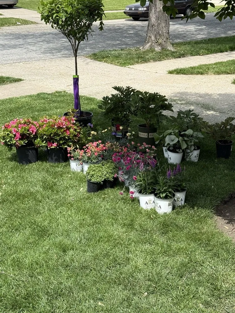 Professional outdoor landscaping for homes across Dyer, IN - Star Landscaping