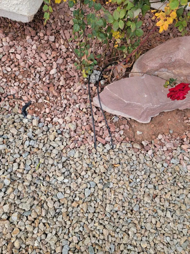 Reliable outdoor landscaping in Las Vegas, NV by Star Landscaping