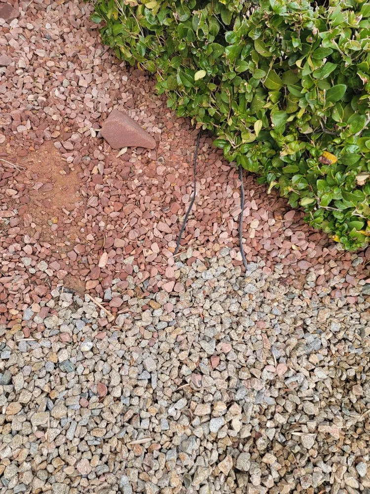 Professional landscape installation in Las Vegas, NV - Star Landscaping