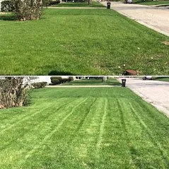 Trusted lawn care service for beautiful yards across Bloomington, IL - Star Lawn Care