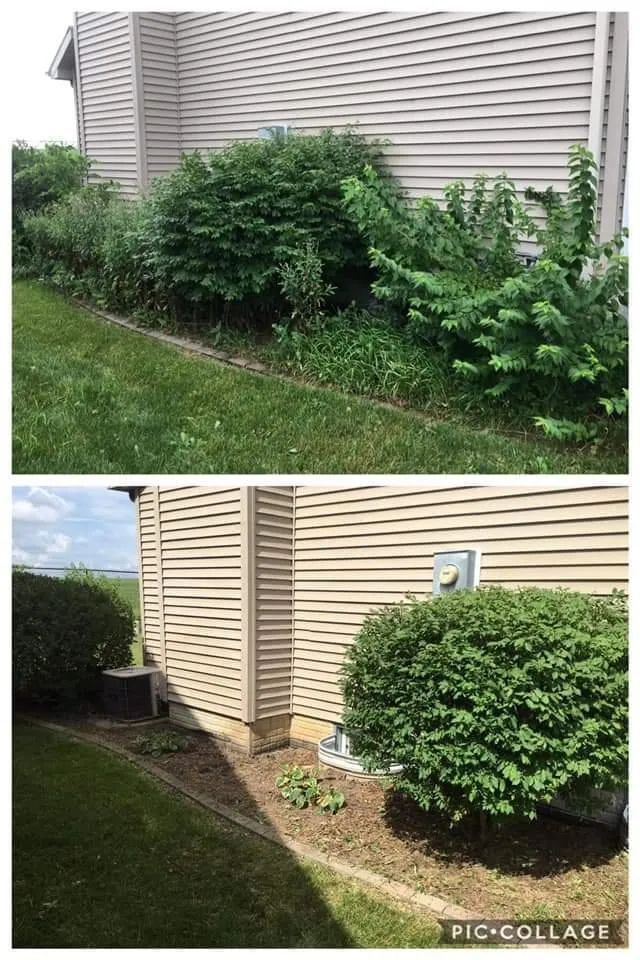 Expert residential landscaping experts serving Bloomington, IL - Star Lawn Care