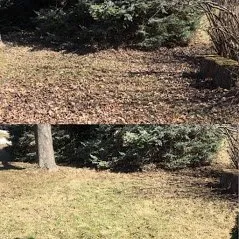 Top-rated landscape design in Bloomington, IL by Star Lawn Care