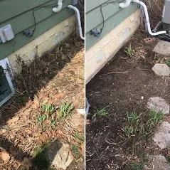 Expert outdoor landscaping experts serving Bloomington, IL - Star Lawn Care