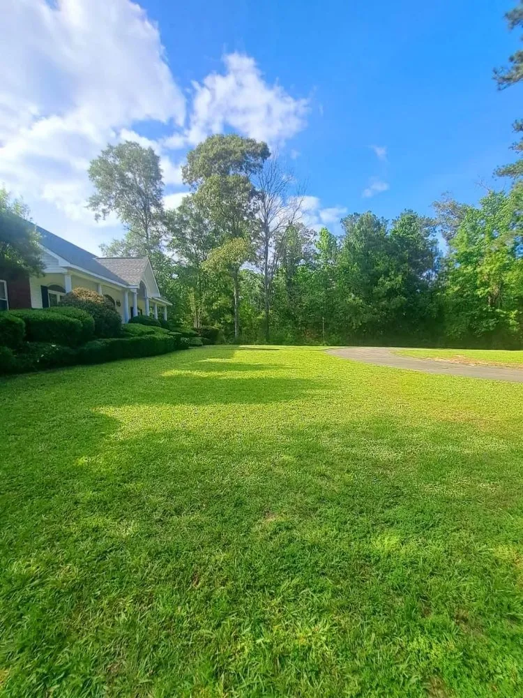 Custom landscape design experts serving Hattiesburg, MS - Star Lawns