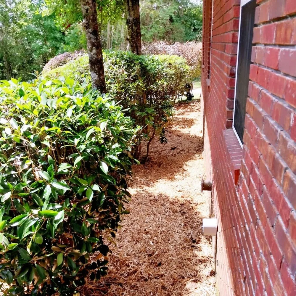 Trusted yard maintenance in Hattiesburg, MS by Star Lawns