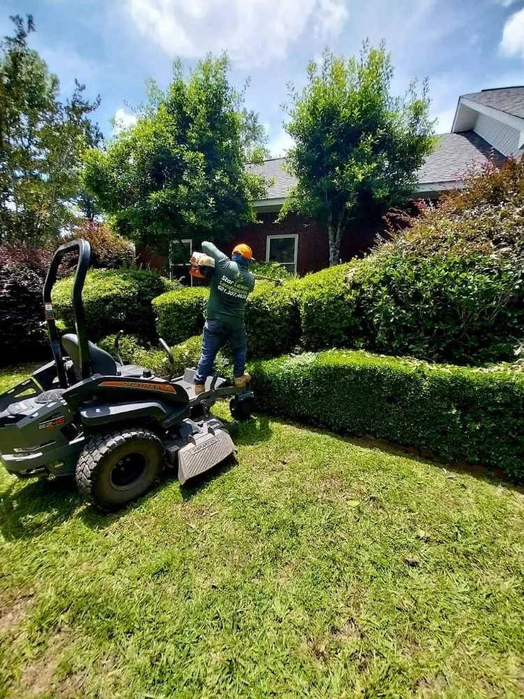 Expert lawn care service for beautiful yards across Hattiesburg, MS - Star Lawns