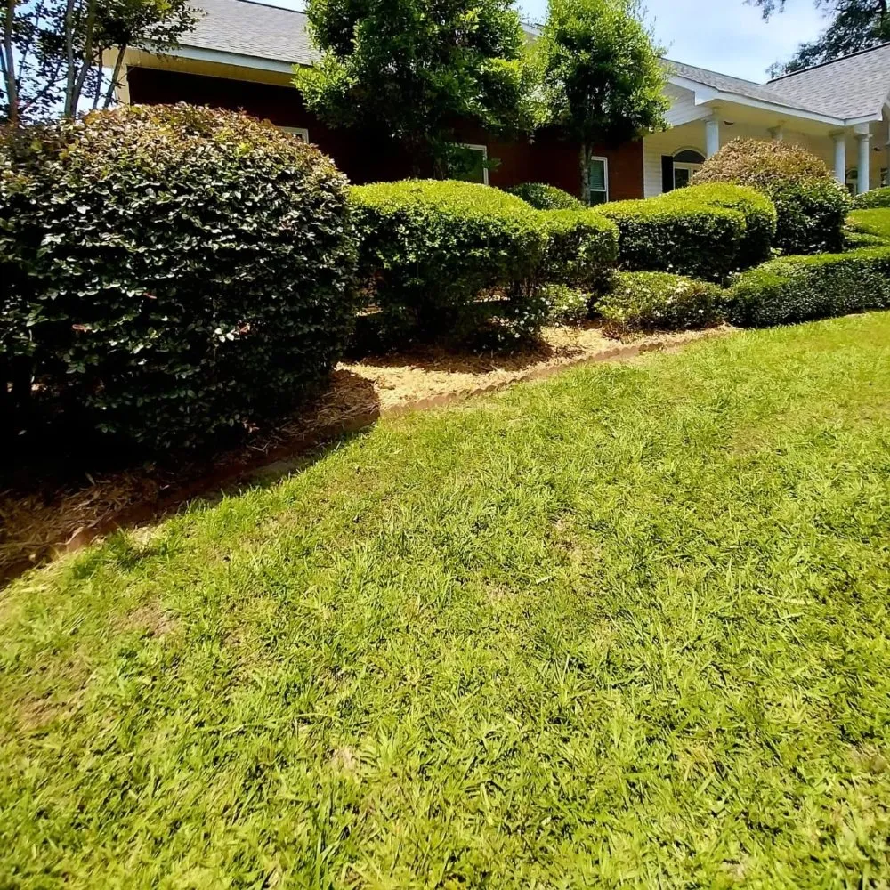 Local landscaping services experts serving Hattiesburg, MS - Star Lawns