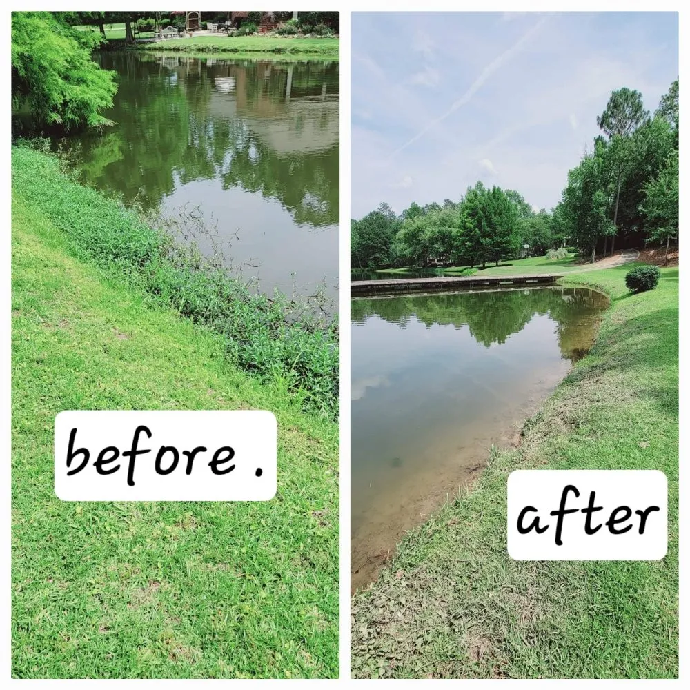 Affordable landscape installation for beautiful yards in Hattiesburg, MS by Star Lawns