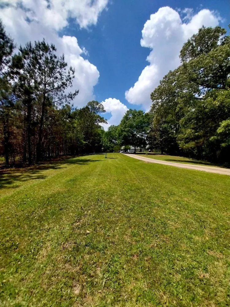 Top-rated yard maintenance for homes across Hattiesburg, MS - Star Lawns