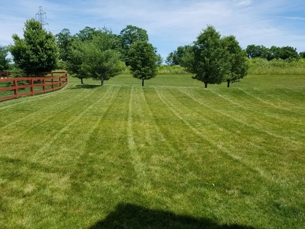 Expert yard maintenance in Burlington, KY - Star Mowing