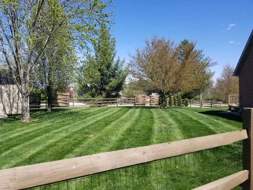 Custom yard maintenance in Burlington, KY by Star Mowing