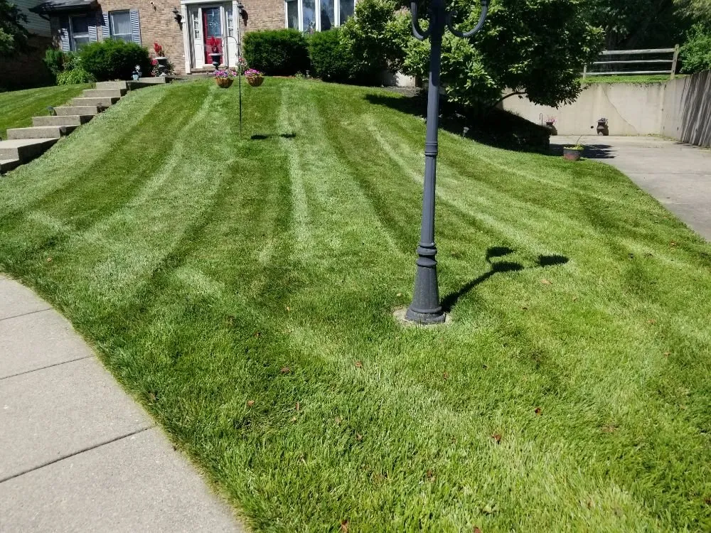 Custom landscaping services near you across Burlington, KY - Star Mowing