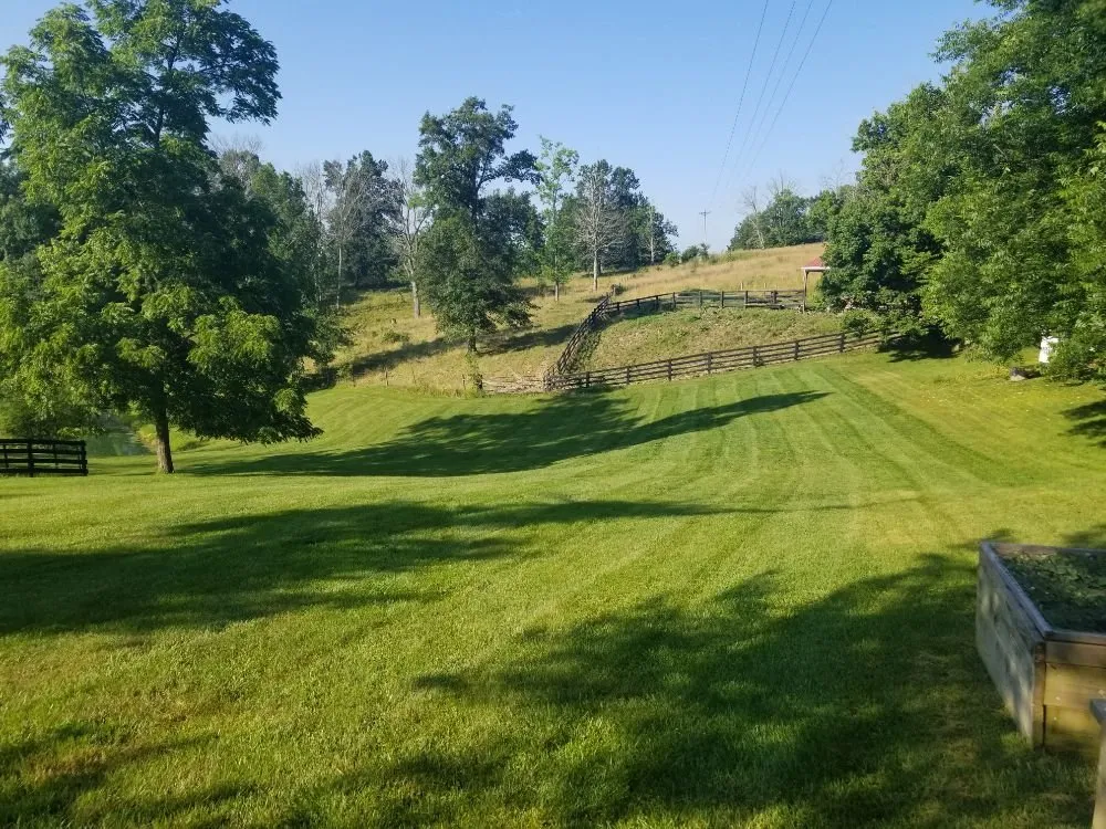 Affordable outdoor landscaping in Burlington, KY by Star Mowing