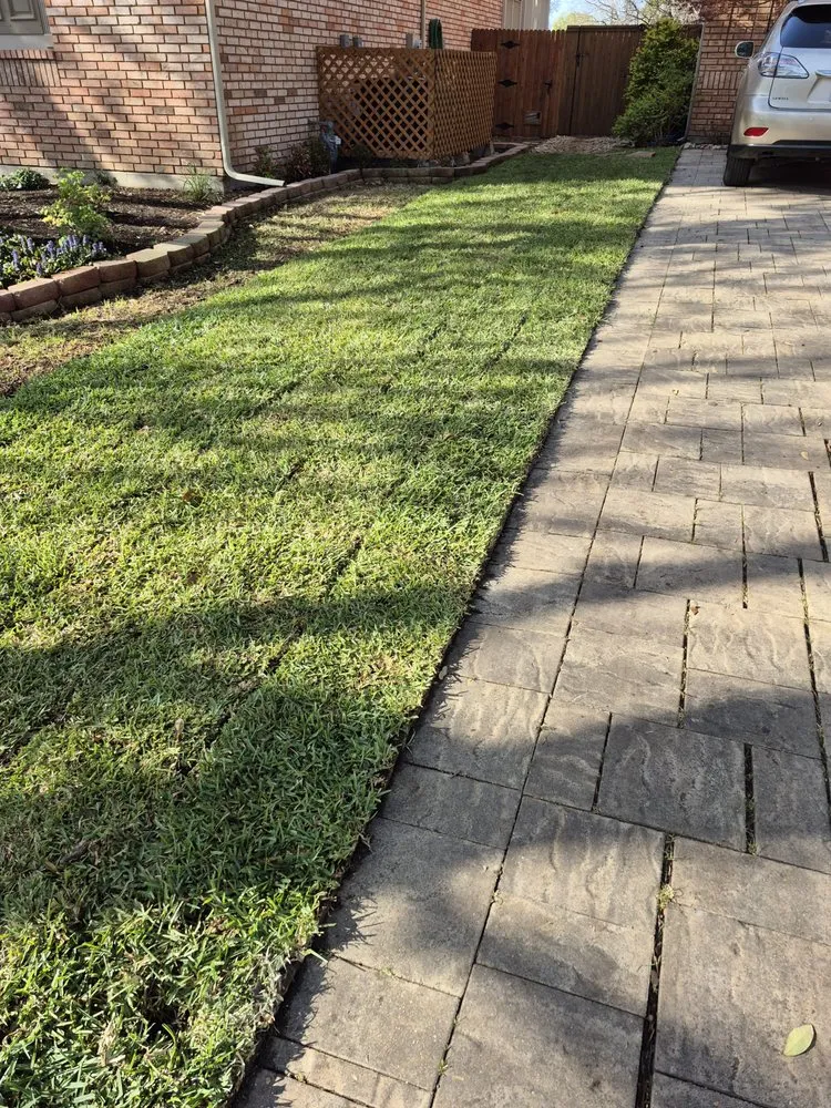 Professional outdoor landscaping with custom design in Garland, TX by Star North Texas Landscape