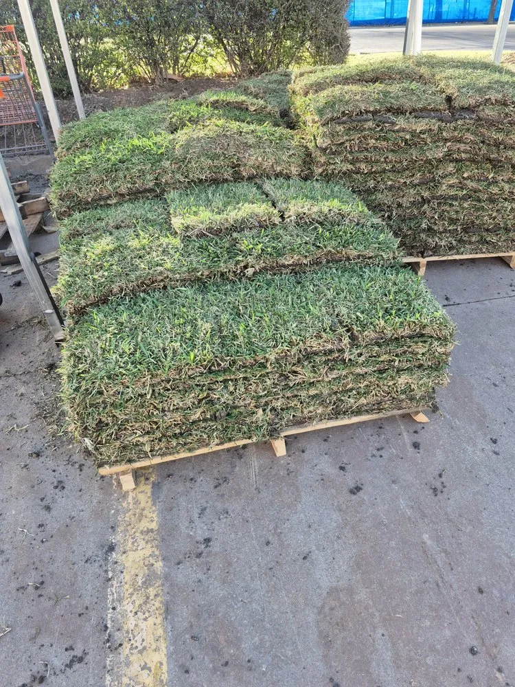 Local lawn care service with custom design in Garland, TX by Star North Texas Landscape