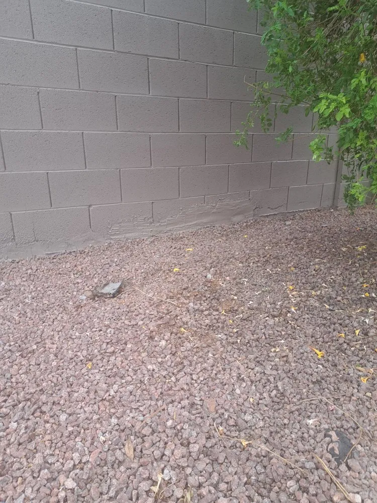 Custom garden landscaping for beautiful yards in North Las Vegas, NV by Star Painting & Maintenance