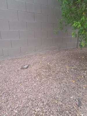 Star Painting & Maintenance Logo