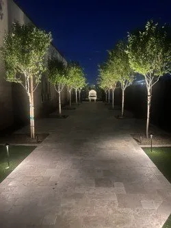 Reliable yard maintenance experts serving Phoenix, AZ - Star Scapes