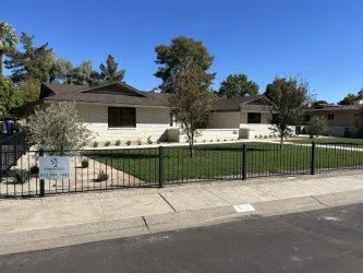 Reliable yard cleanup service in Phoenix, AZ by Star Scapes