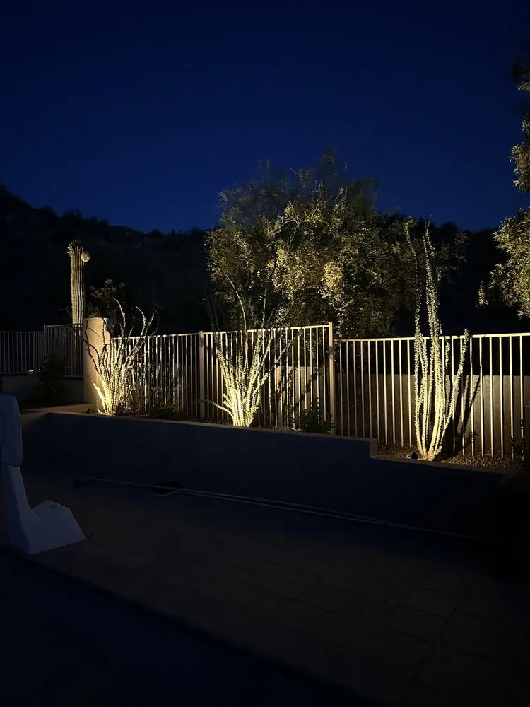 Reliable yard maintenance in Phoenix, AZ by Star Scapes