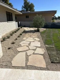 Local residential landscaping in Phoenix, AZ by Star Scapes