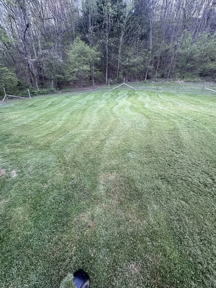 Expert yard maintenance with custom design across Eagle Rock, VA - Star-Spangled Landscaping