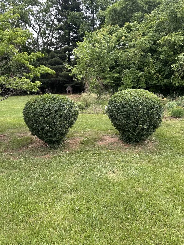 Trusted yard cleanup service in Eagle Rock, VA by Star-Spangled Landscaping