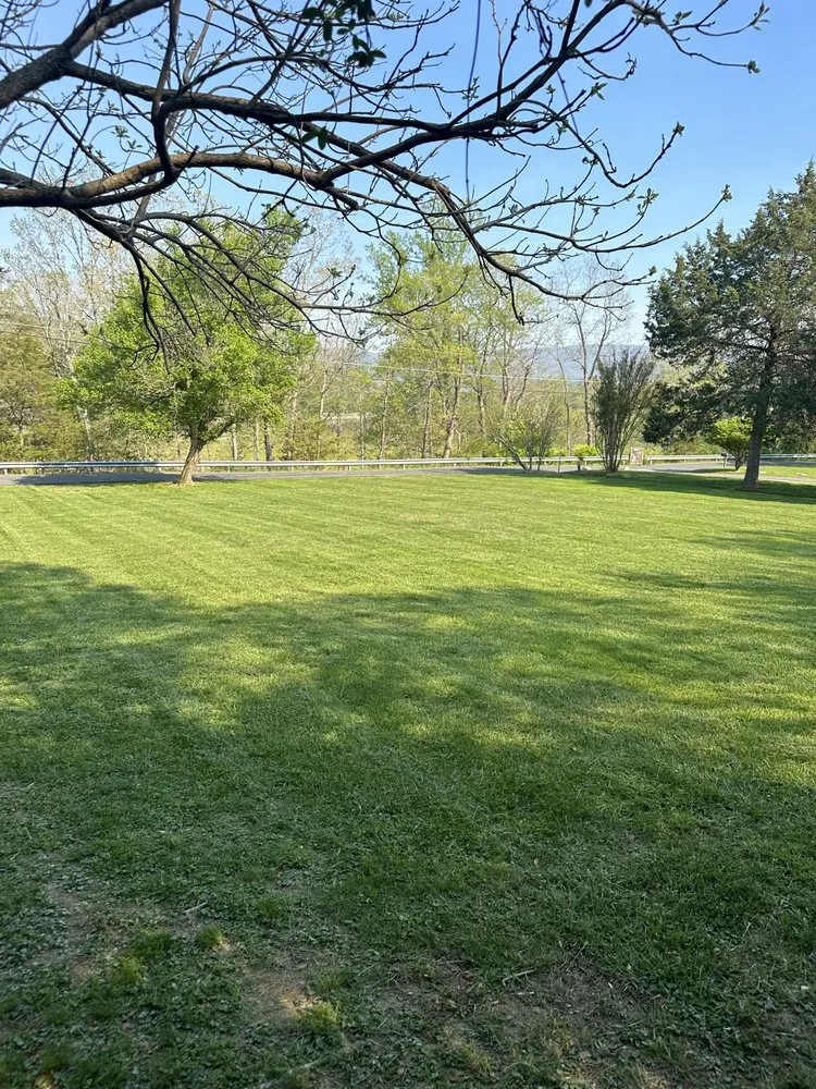Professional yard cleanup service for outdoor upgrades across Eagle Rock, VA - Star-Spangled Landscaping
