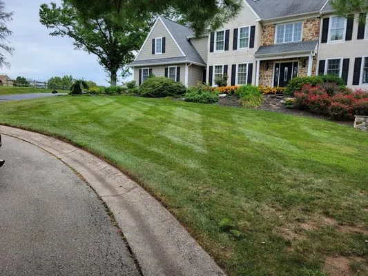 Star View Landscaping