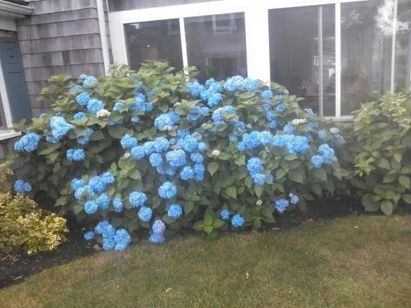 Reliable garden landscaping in Dennis, MA - Starboard Side Landscaping